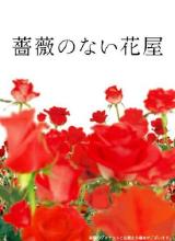 鸟大大影院《没有玫瑰的花店 薔薇のない花屋》免费在线观看