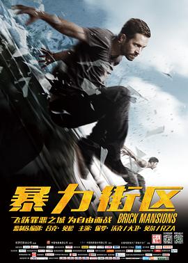 鸟大大影院《暴力街区 Brick Mansions》免费在线观看