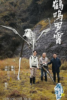 鸟大大影院《湘行漫记》免费在线观看