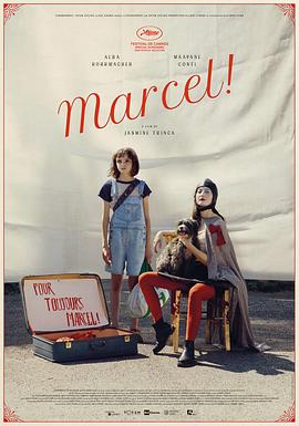 鸟大大影院《马赛尔 Marcel!》免费在线观看