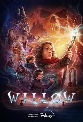 鸟大大影院《风云际会 Willow》免费在线观看