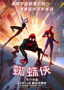 鸟大大影院《蜘蛛侠：平行宇宙 Spider-Man: Into the Spider-Verse》免费在线观看