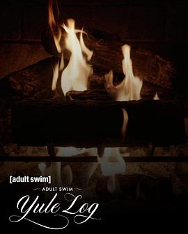 鸟大大影院《圣诞原木 Adult Swim Yule Log》免费在线观看