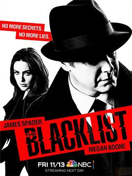 鸟大大影院《罪恶黑名单 第九季 The Blacklist Season 9》免费在线观看