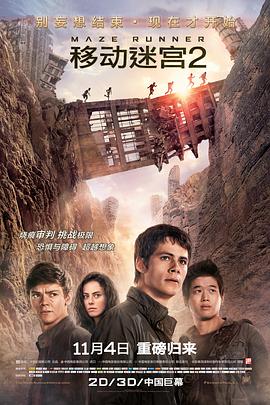 鸟大大影院《移动迷宫2 Maze Runner: The Scorch Trials》免费在线观看