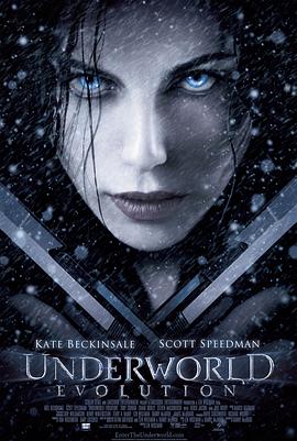 鸟大大影院《黑夜传说2：进化 Underworld: Evolution》免费在线观看