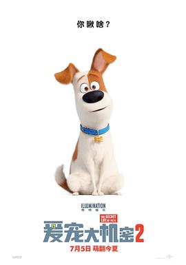 鸟大大影院《爱宠大机密2 The Secret Life of Pets 2》免费在线观看