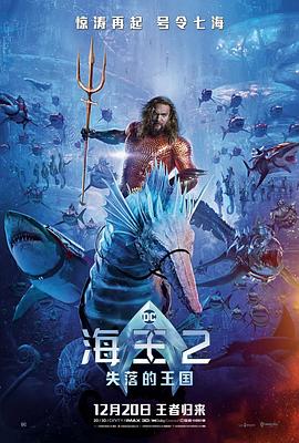 鸟大大影院《海王2：失落的王国 Aquaman and the Lost Kingdom》免费在线观看