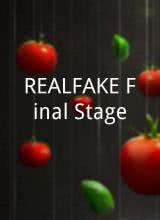 鸟大大影院《REAL FAKE Final Stage》免费在线观看