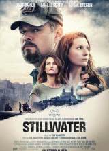 鸟大大影院《静水城 Stillwater》免费在线观看