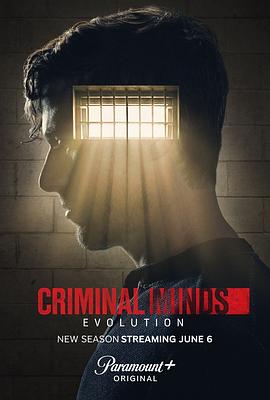 鸟大大影院《犯罪心理：演变 第十七季 Criminal Minds: Evolution Season 17》免费在线观看