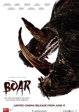 鸟大大影院《野猪 Boar》免费在线观看