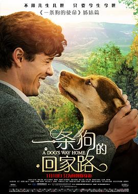 鸟大大影院《一条狗的回家路 A Dog's Way Home》免费在线观看