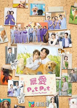 鸟大大影院《宠爱Pet Pet粤语》免费在线观看