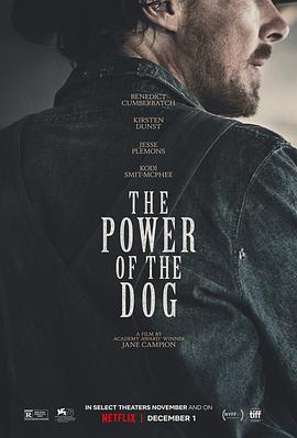 鸟大大影院《犬之力 The Power of the Dog》免费在线观看