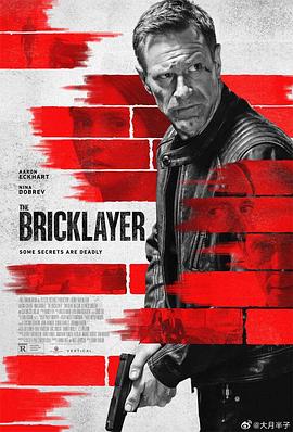 鸟大大影院《谍影追凶 The Bricklayer》免费在线观看